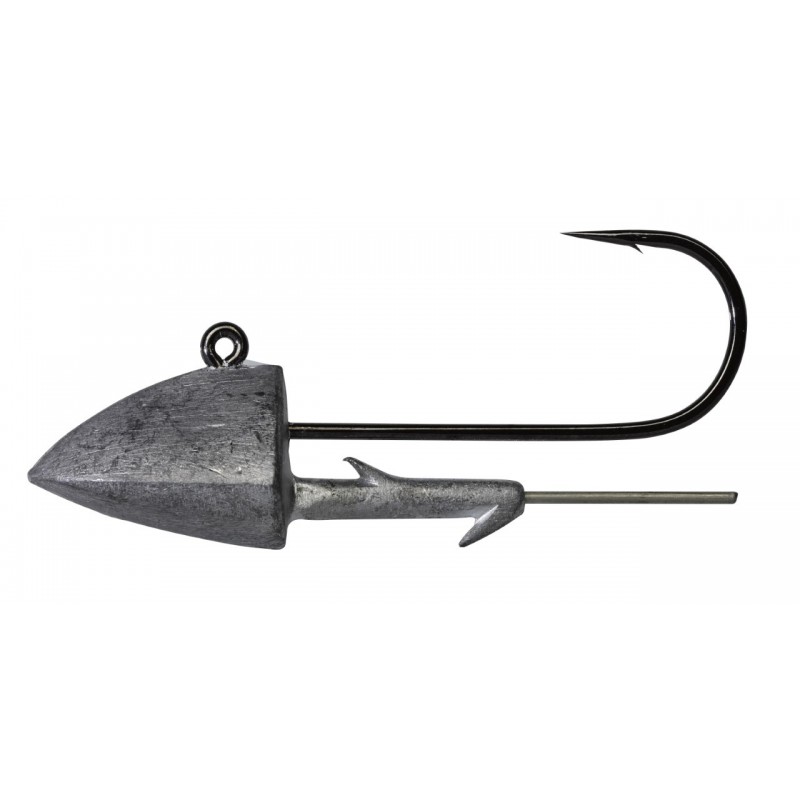 10 g