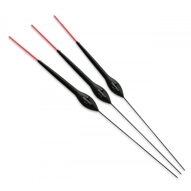1,00 g