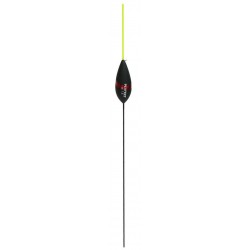 0,20 g
