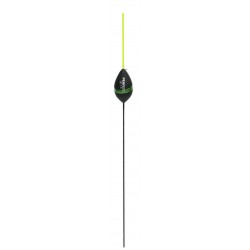 0,20 g
