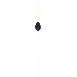 0,30 g