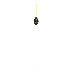 0,30 g