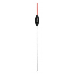 0,20 g