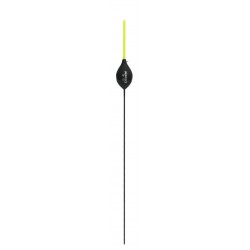 0,20 g