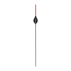 0,20 g