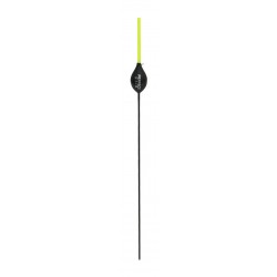 0,20 g