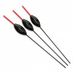0,20 g