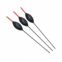 0,20 g
