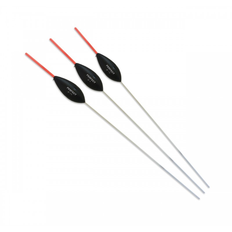 1,00 g