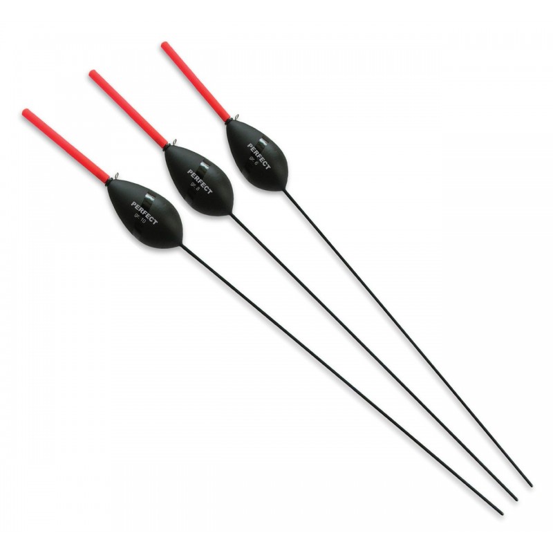 3,00 g