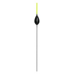3,00 g