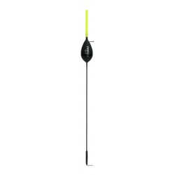 6,00 g