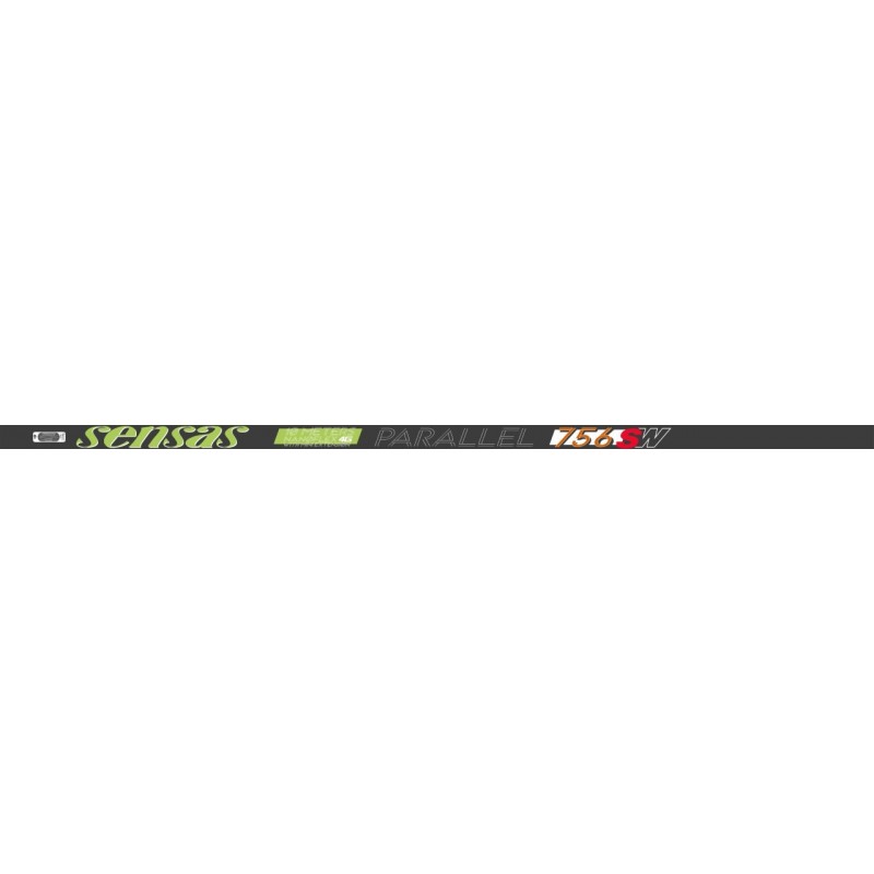 POLE - 10.00 m