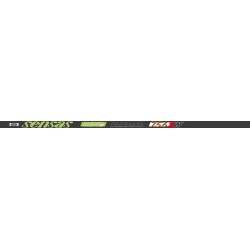 POLE - 10.00 m