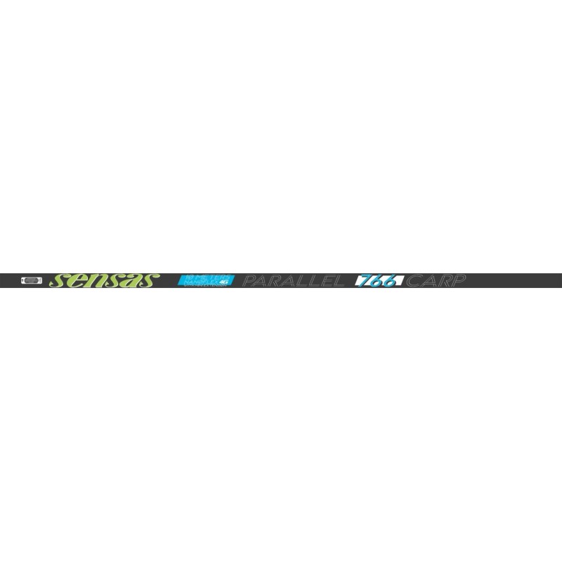 POLE - 10.00 m