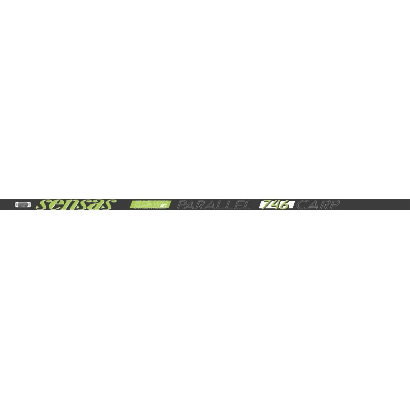 POLE - 10.00 m