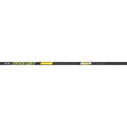 POLE - 10.00 m