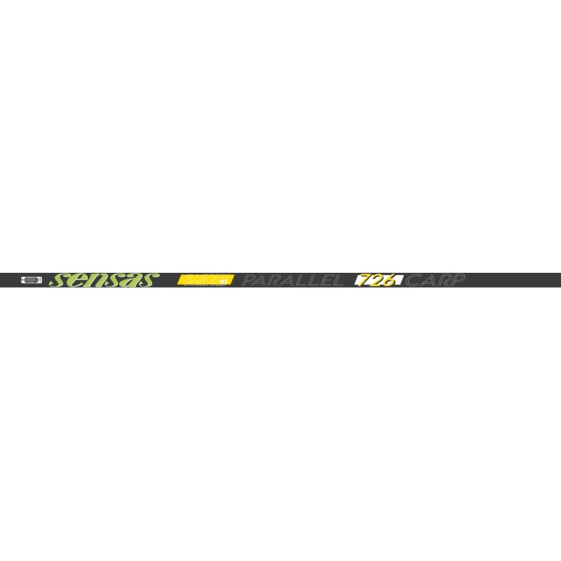 POLE - 10.00 m