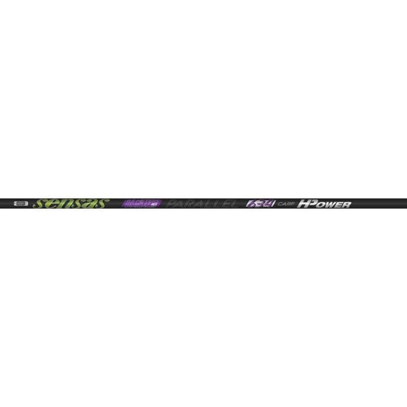 POLE - 10.00 m