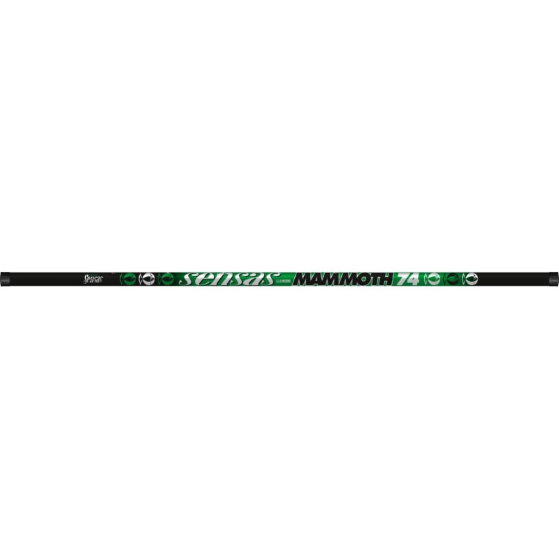 POLE - 10.00 m