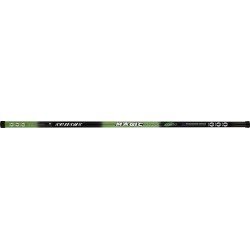 POLE BIG FISH - 10.00 m