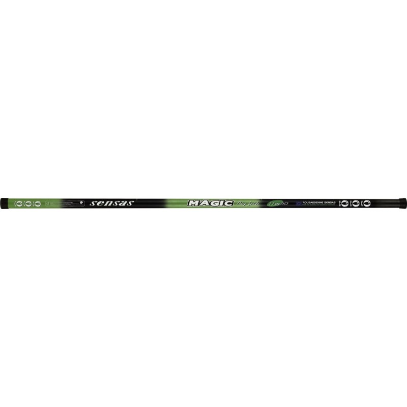 POLE BIG FISH - 10.00 m