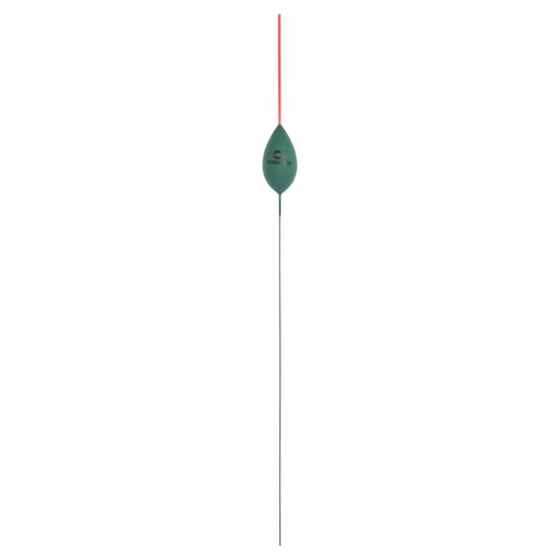 4,00 g