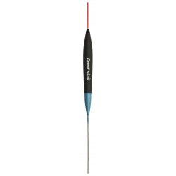 0,20 g