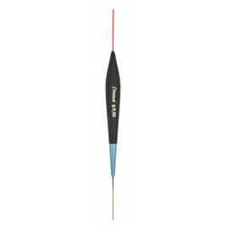 0,20 g