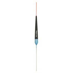 0,20 g