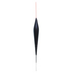 0,20 g
