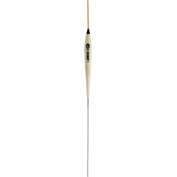 0,20 g