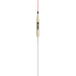 0,20 g