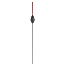 0,40 g
