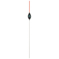 0,40 g