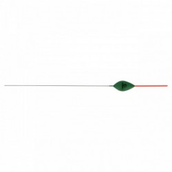 1,00 g