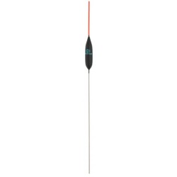 0,20 g