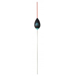 0,20 g