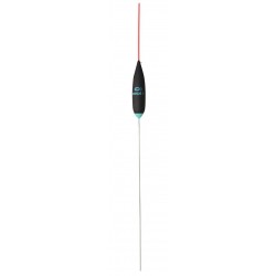 0,20 g
