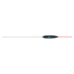 0,20 g