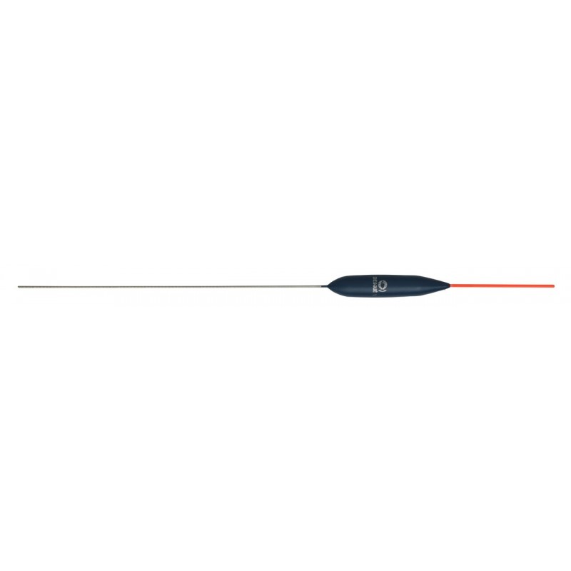 0,20 g
