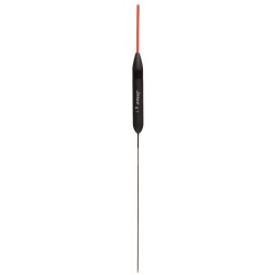 0,40 g