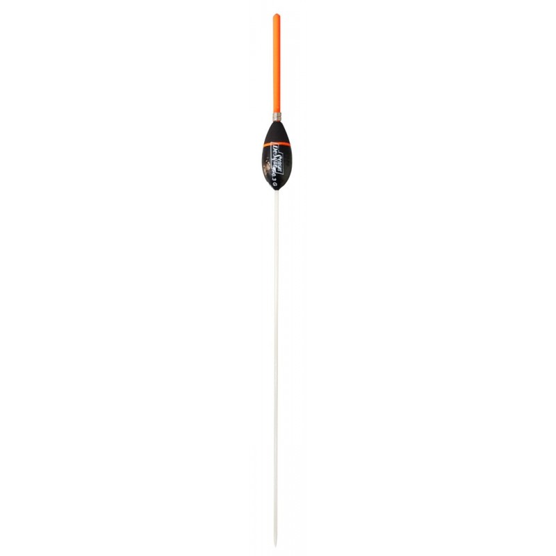 0,20 g