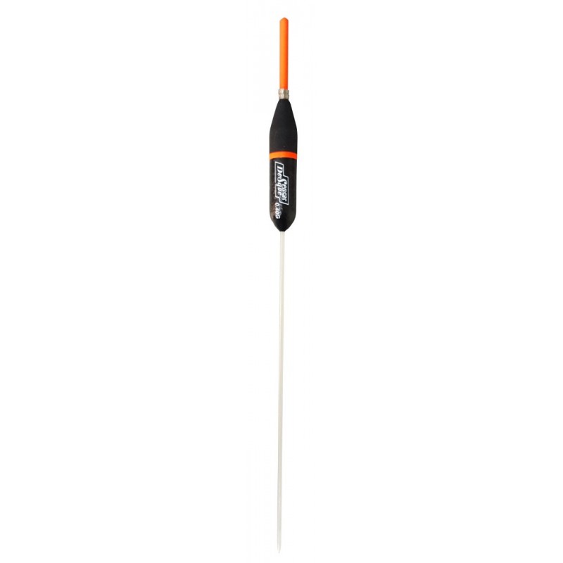 0,20 g