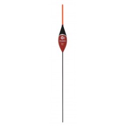 0,10 g