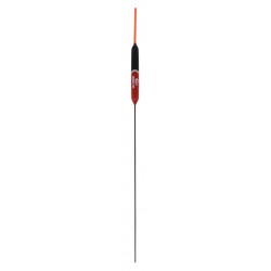 0,30 g