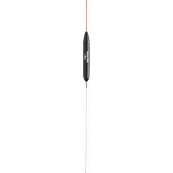 0,10 g