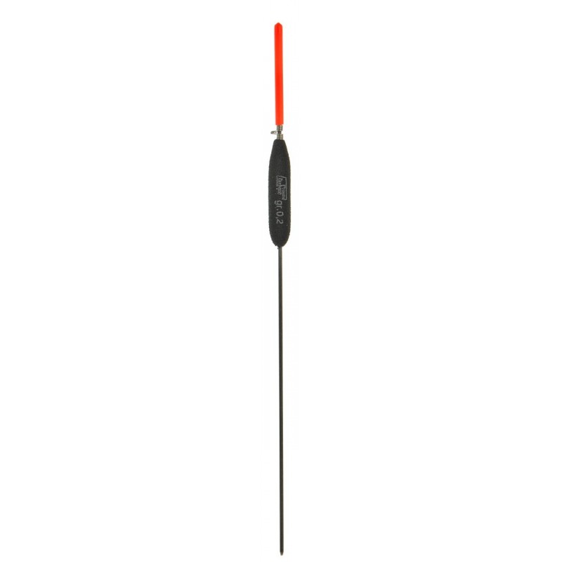 0,20 g