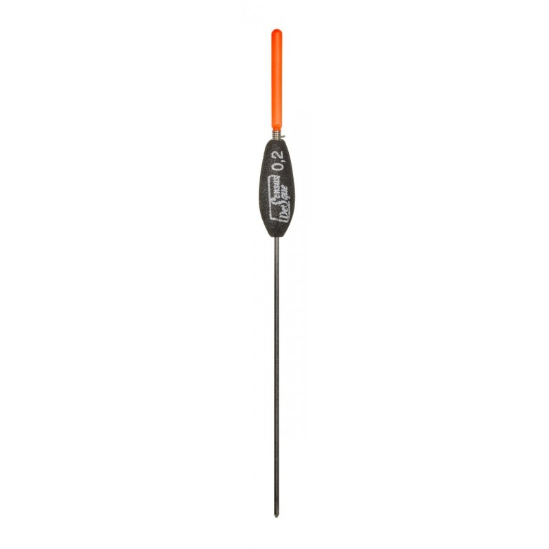 0,10 g
