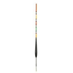 1,00 g